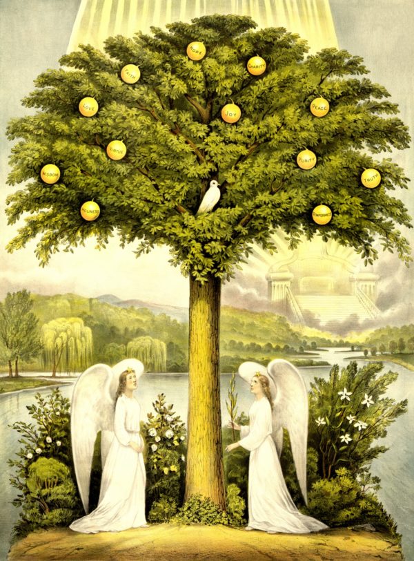 Passover the tree of life